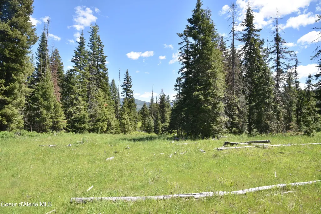 Nna Lot 2 Carpenter Creek Road Fernwood ID 83830