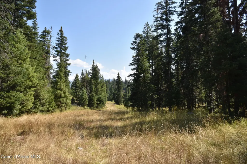 Nna Lot 2 Carpenter Creek Road Fernwood ID 83830