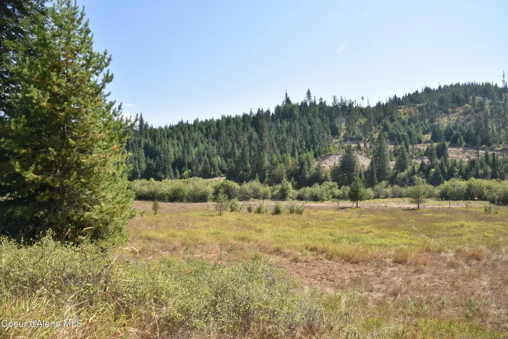 Nna Lot 2 Carpenter Creek Road Fernwood ID 83830