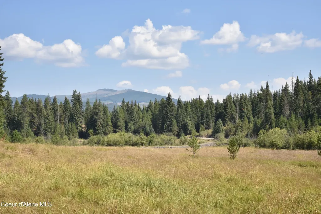 Nna Lot 2 Carpenter Creek Road Fernwood ID 83830