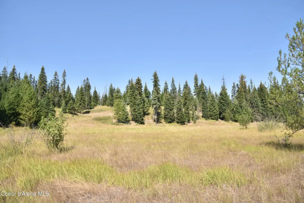 Nna Lot 2 Carpenter Creek Road Fernwood ID 83830