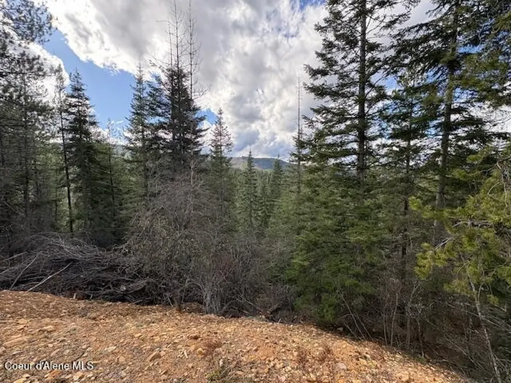 E Fork French Gulch Road Kingston ID 83839