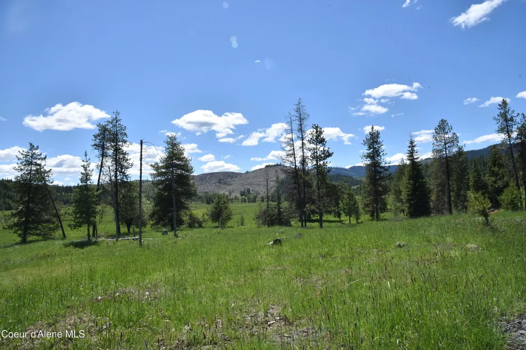 Nna Lot 5 Carpenter Creek Road Fernwood ID 83830