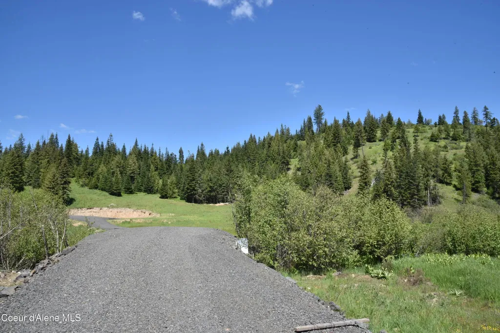 Nna Lot 5 Carpenter Creek Road Fernwood ID 83830