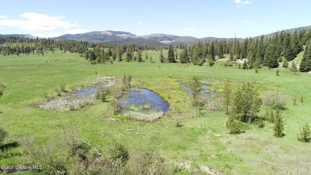Nna Lot 5 Carpenter Creek Road Fernwood ID 83830