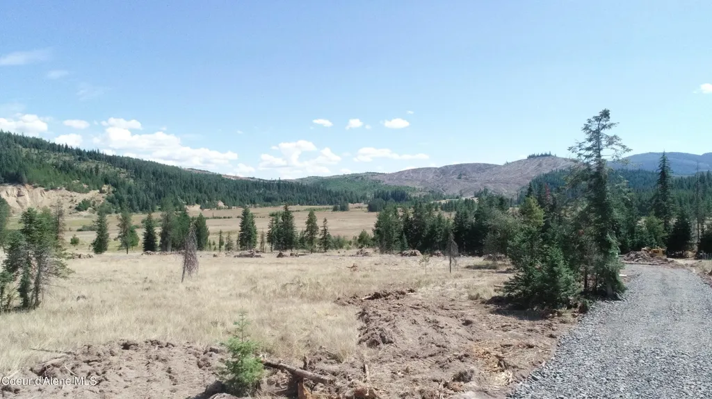 Nna Lot 5 Carpenter Creek Road Fernwood ID 83830