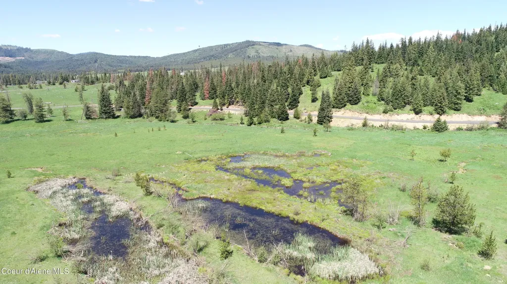 Nna Lot 5 Carpenter Creek Road Fernwood ID 83830