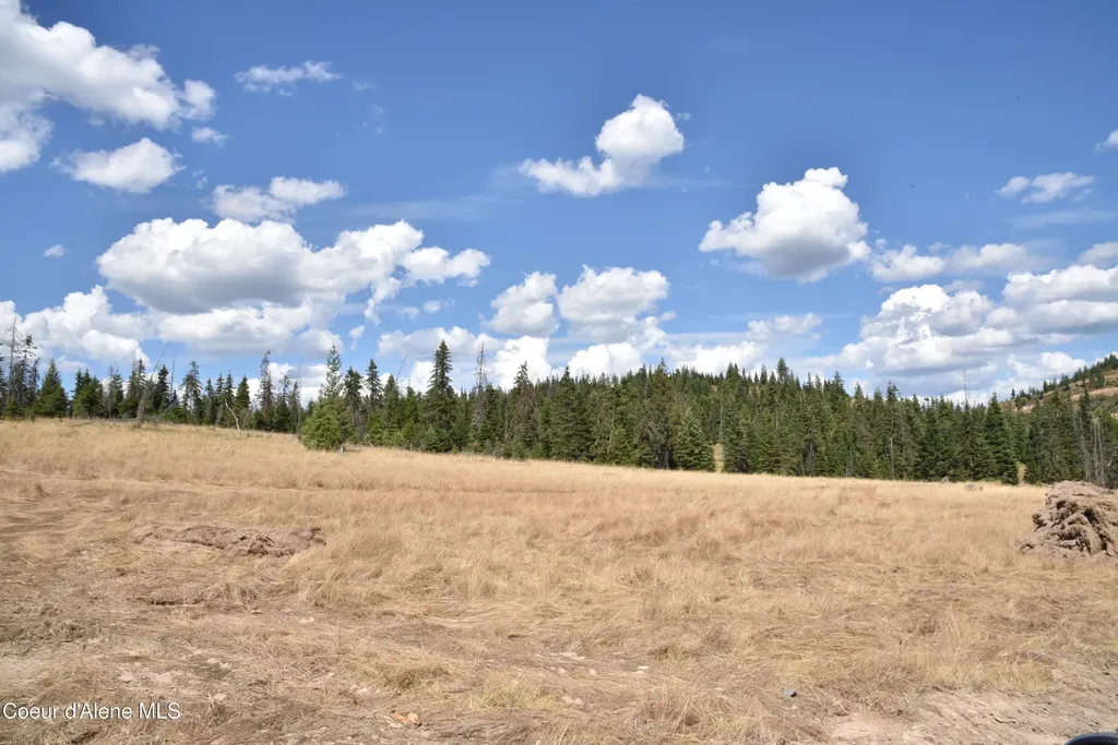 Nna Lot 5 Carpenter Creek Road Fernwood ID 83830