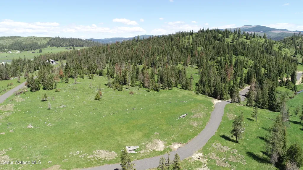 Nna Lot 5 Carpenter Creek Road Fernwood ID 83830