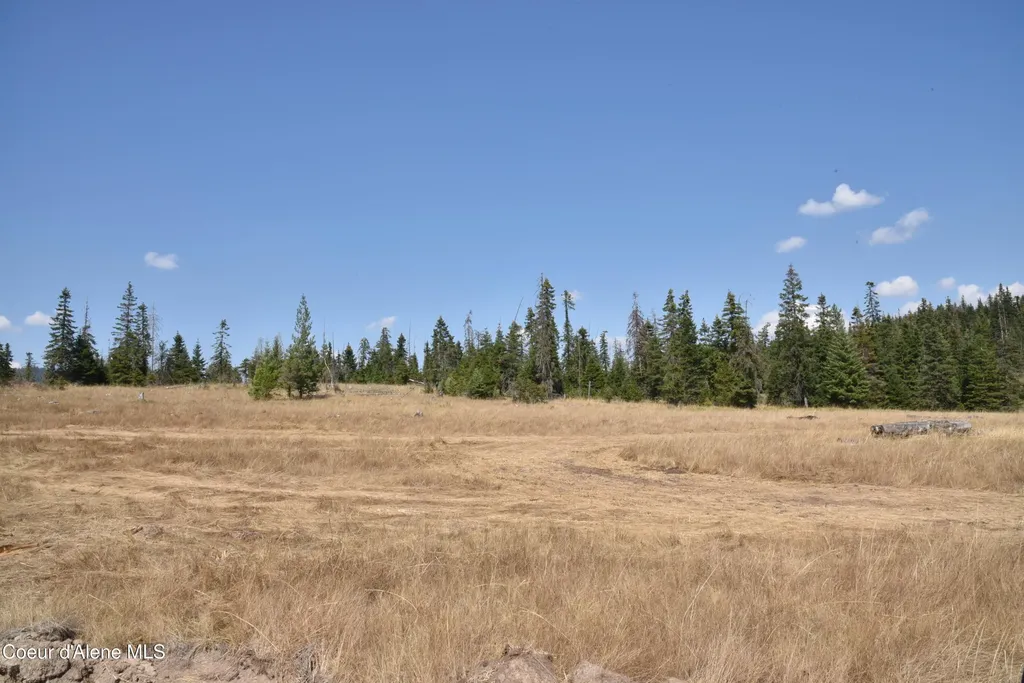 Nna Lot 5 Carpenter Creek Road Fernwood ID 83830