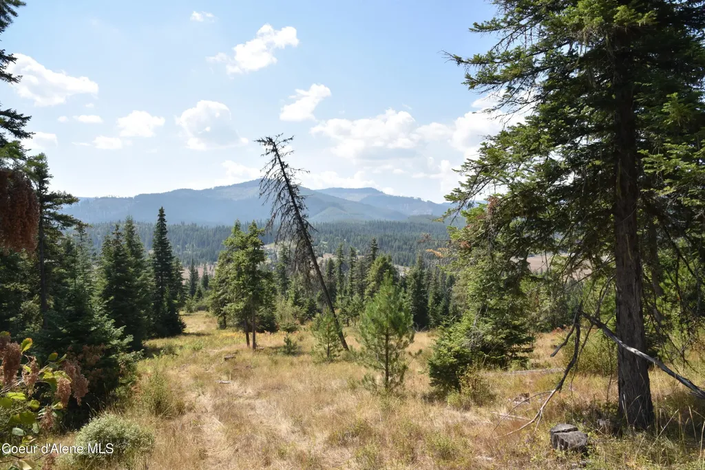 Nna Lot 3 Carpenter Creek Road Fernwood ID 83830