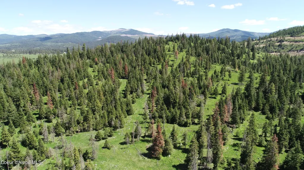 Nna Lot 3 Carpenter Creek Road Fernwood ID 83830