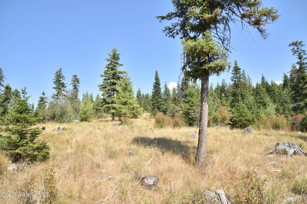 Nna Lot 3 Carpenter Creek Road Fernwood ID 83830