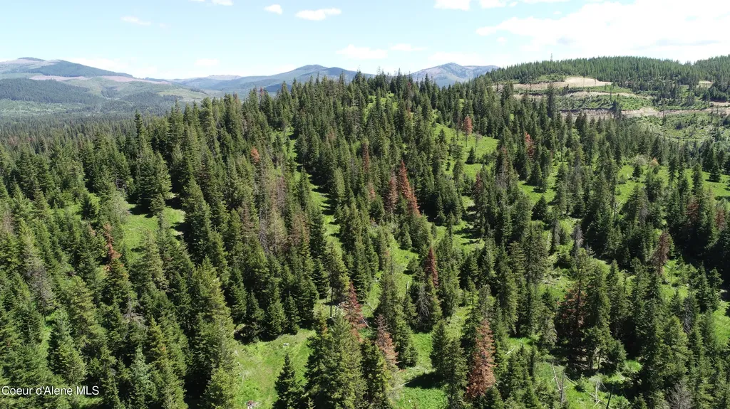 Nna Lot 3 Carpenter Creek Road Fernwood ID 83830