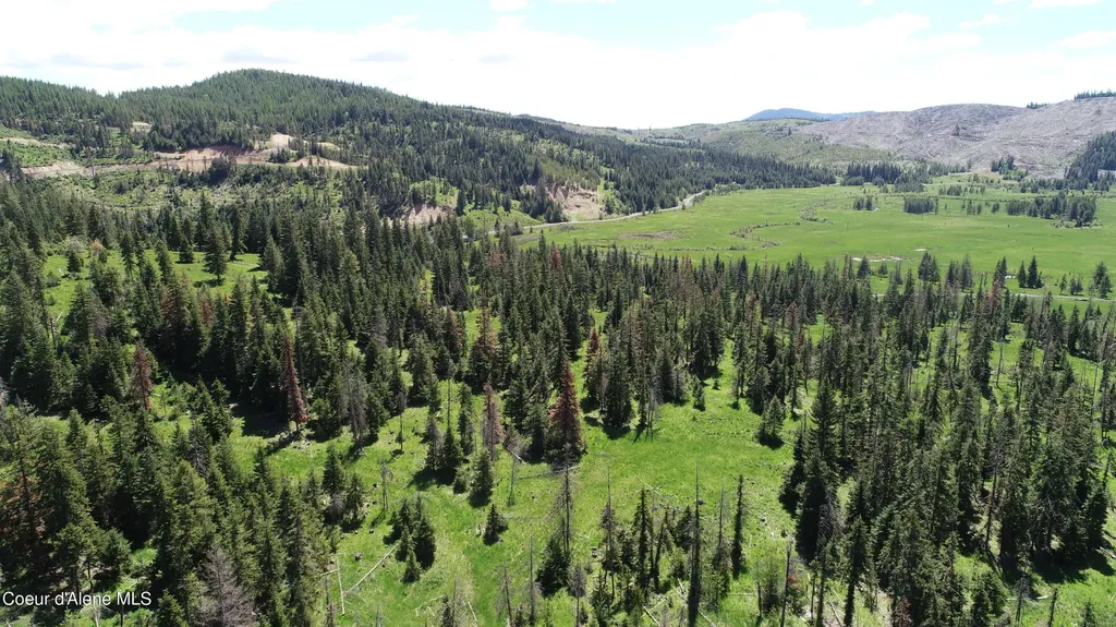 Nna Lot 3 Carpenter Creek Road Fernwood ID 83830