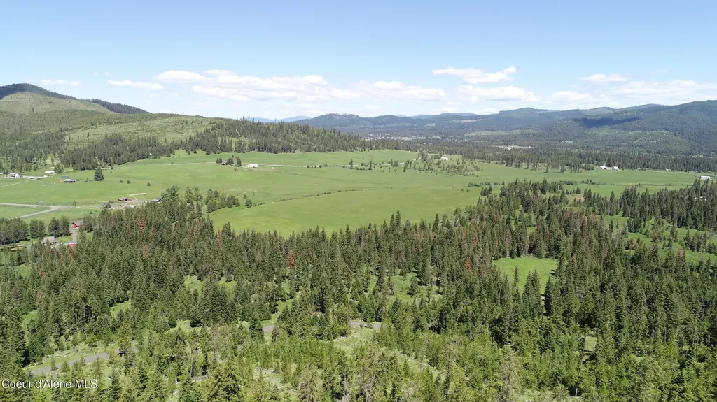 Nna Lot 3 Carpenter Creek Road Fernwood ID 83830