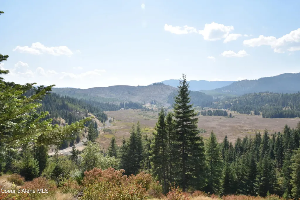 Nna Lot 3 Carpenter Creek Road Fernwood ID 83830