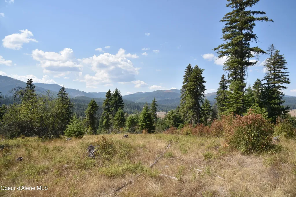 Nna Lot 3 Carpenter Creek Road Fernwood ID 83830