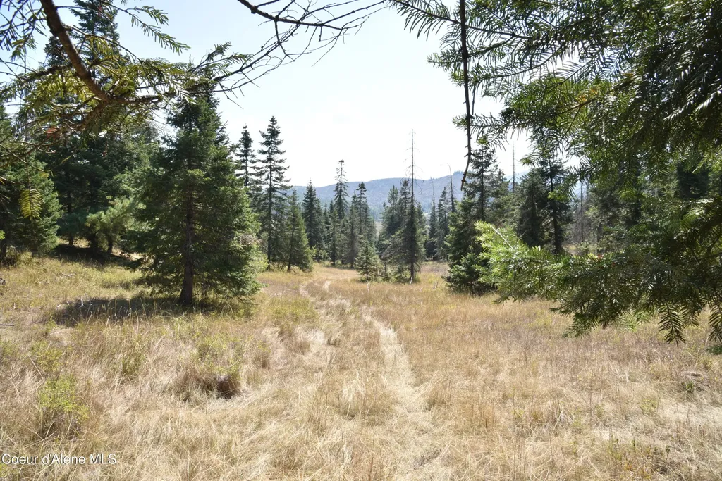 Nna Lot 3 Carpenter Creek Road Fernwood ID 83830