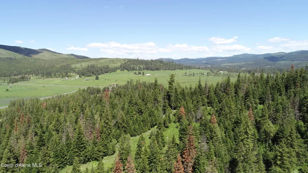Nna Lot 3 Carpenter Creek Road Fernwood ID 83830