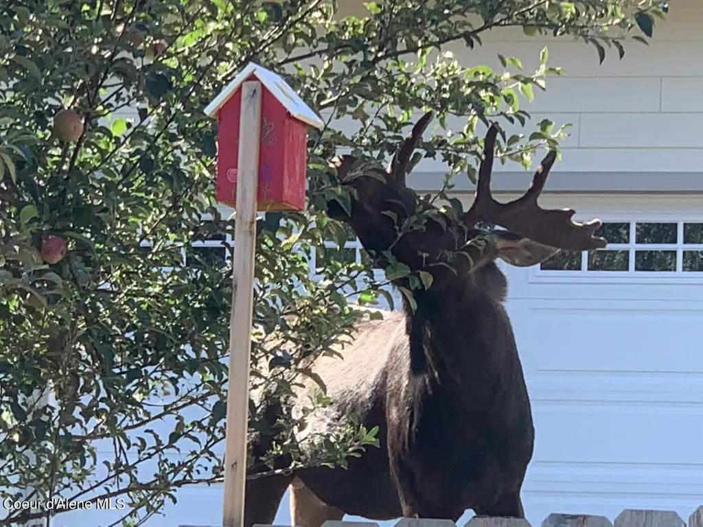 266 Syringa Heights Road Sandpoint ID 83864