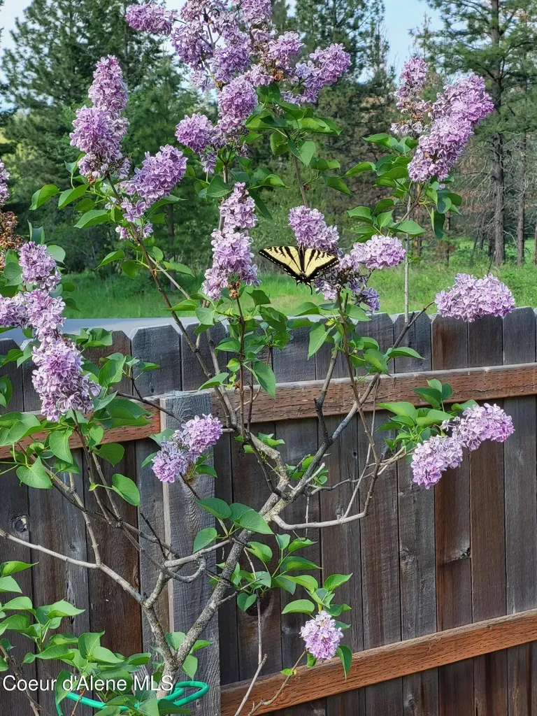 266 Syringa Heights Road Sandpoint ID 83864