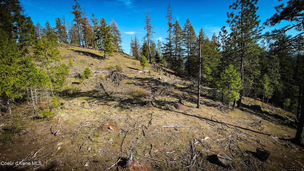 Nna Lot 3 Kacy Bear Lane Priest River ID 83856