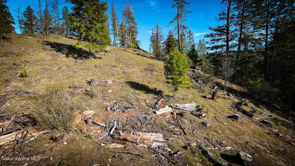 Nna Lot 3 Kacy Bear Lane Priest River ID 83856