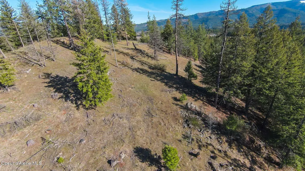 Nna Lot 3 Kacy Bear Lane Priest River ID 83856