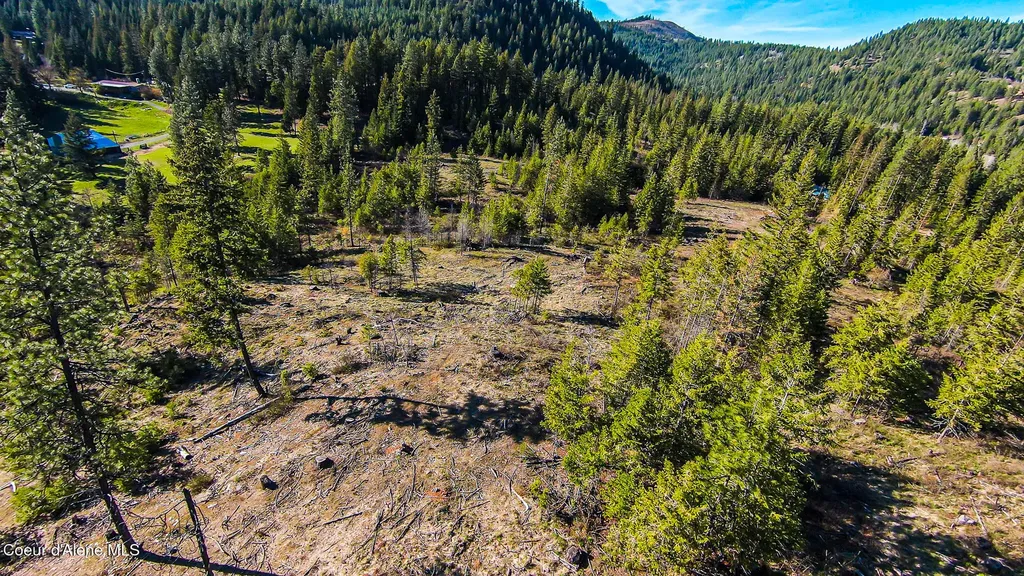 Nna Lot 3 Kacy Bear Lane Priest River ID 83856