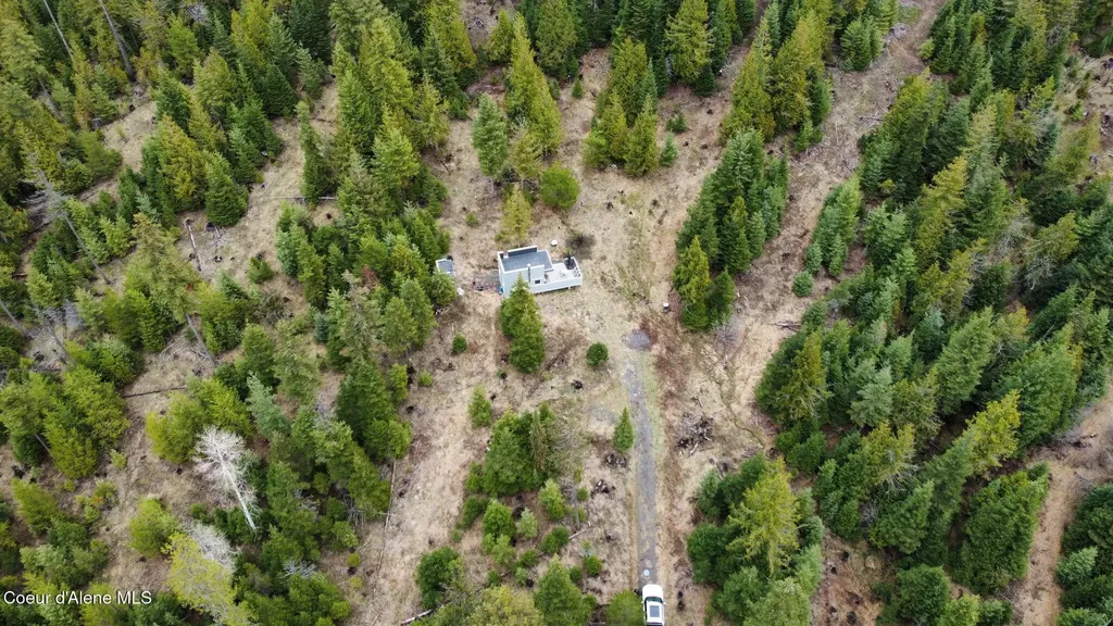 192 Falcon Lane St. Maries ID 83861