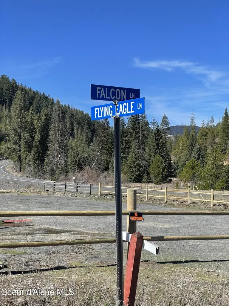 192 Falcon Lane St. Maries ID 83861