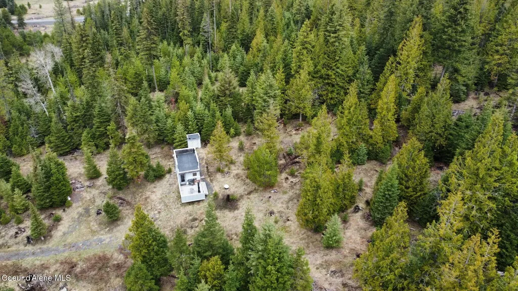 192 Falcon Lane St. Maries ID 83861