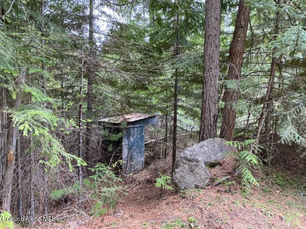97 Mineral Lane Sandpoint ID 83864