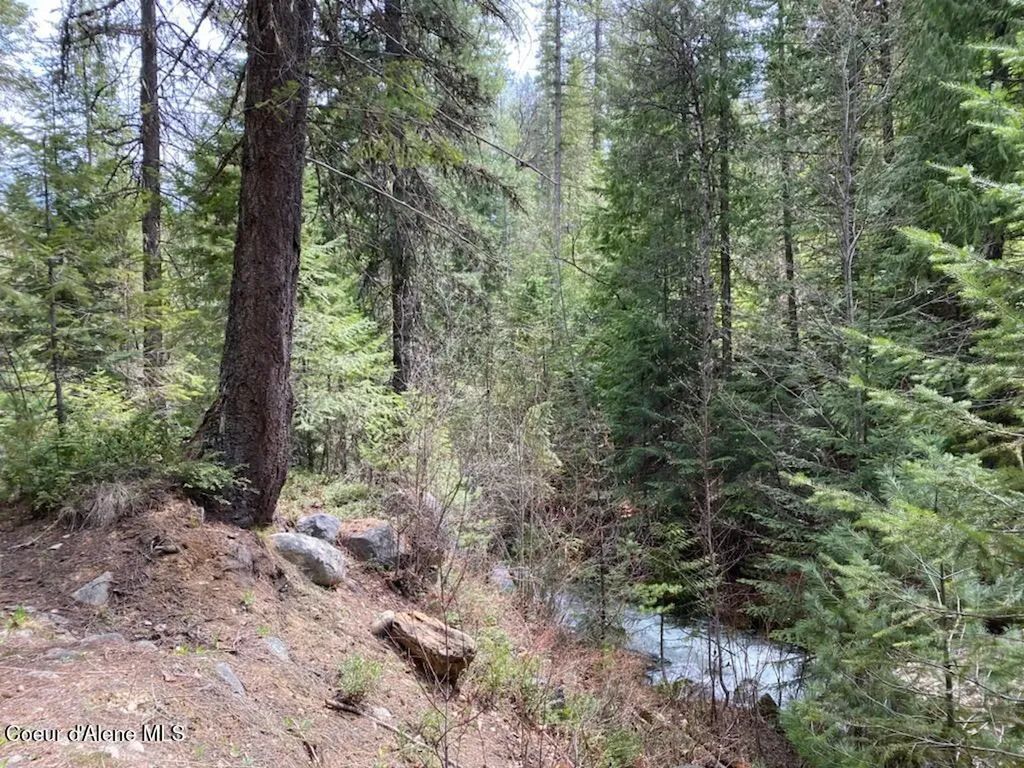 97 Mineral Lane Sandpoint ID 83864