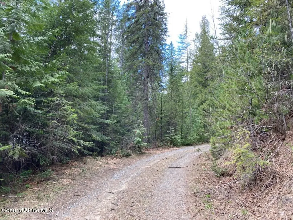 97 Mineral Lane Sandpoint ID 83864
