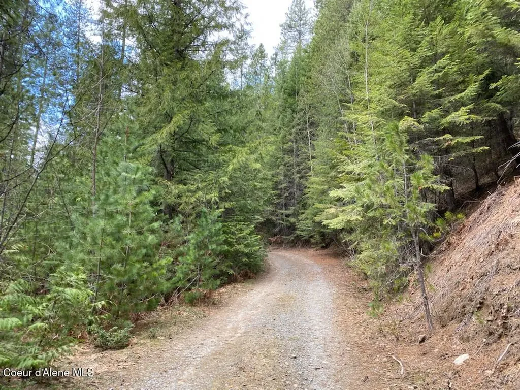 97 Mineral Lane Sandpoint ID 83864
