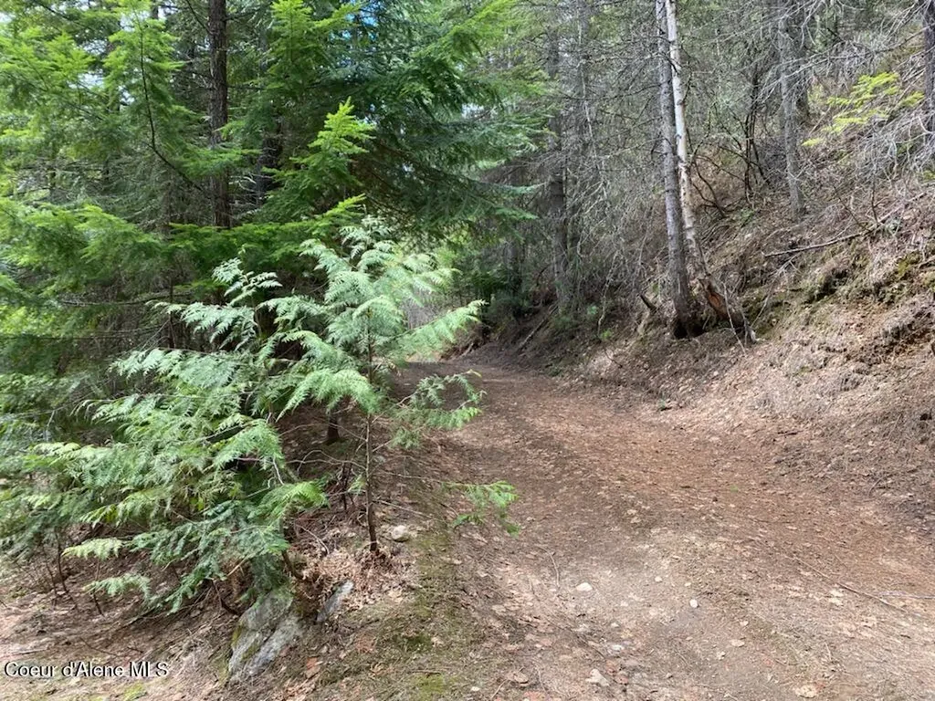 97 Mineral Lane Sandpoint ID 83864