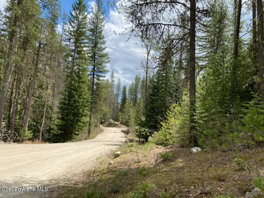 97 Mineral Lane Sandpoint ID 83864