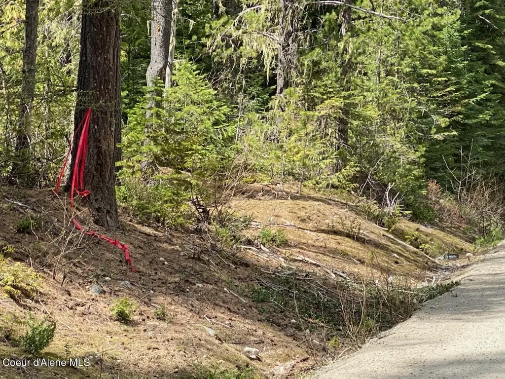 97 Mineral Lane Sandpoint ID 83864
