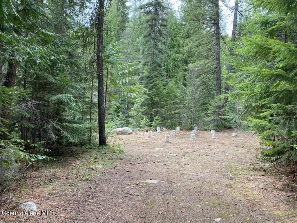 97 Mineral Lane Sandpoint ID 83864