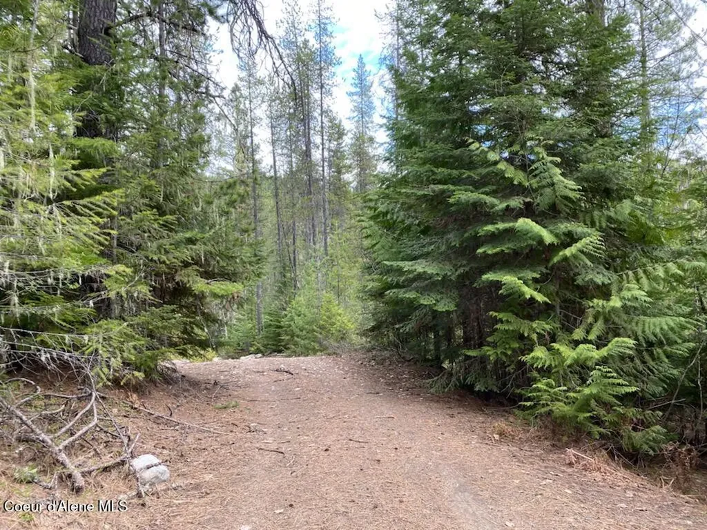 97 Mineral Lane Sandpoint ID 83864