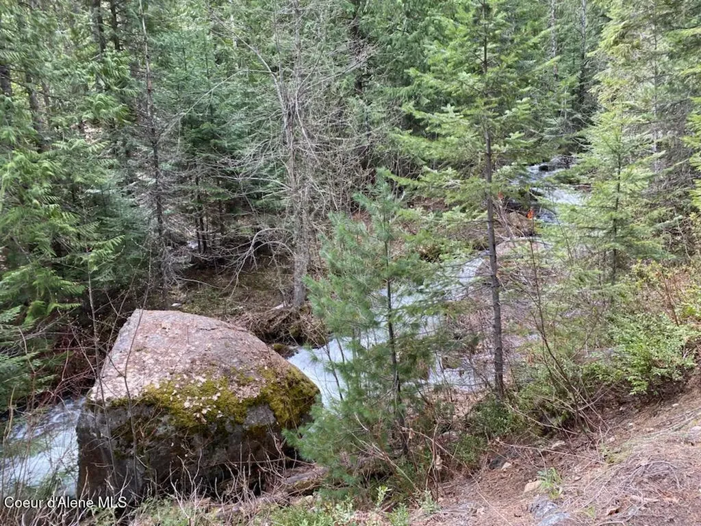 97 Mineral Lane Sandpoint ID 83864