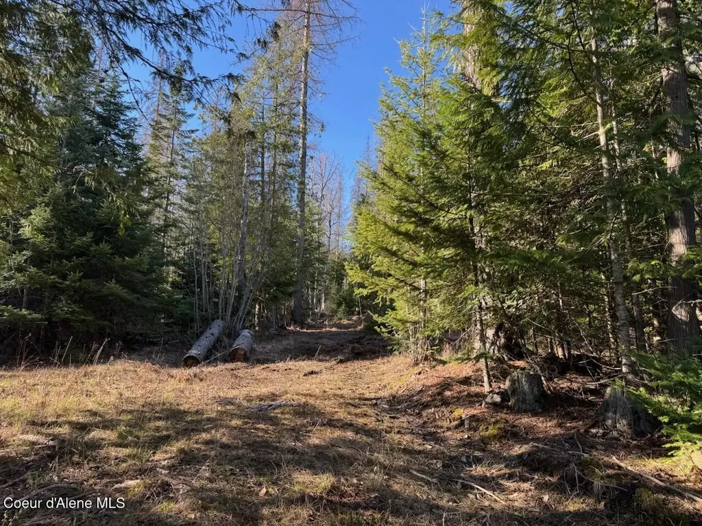 Lot 2 W Pine Sandpoint ID 83864