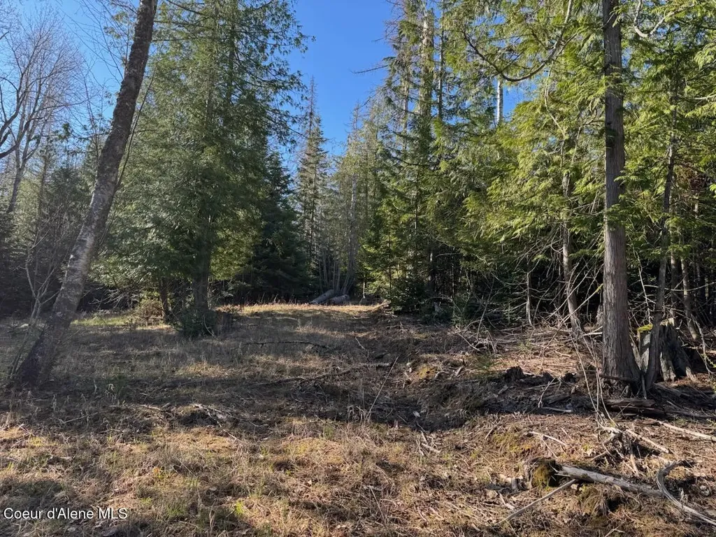 Lot 2 W Pine Sandpoint ID 83864
