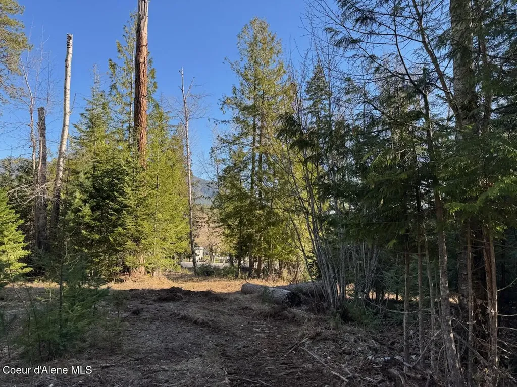 Lot 2 W Pine Sandpoint ID 83864
