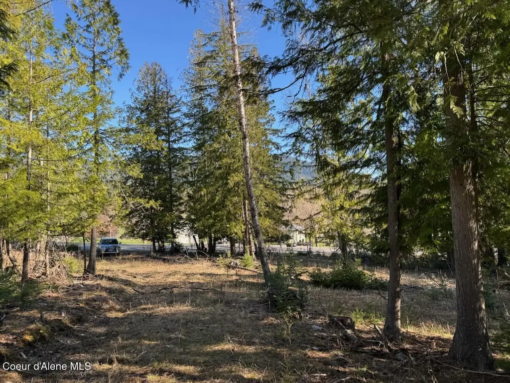 Lot 2 W Pine Sandpoint ID 83864