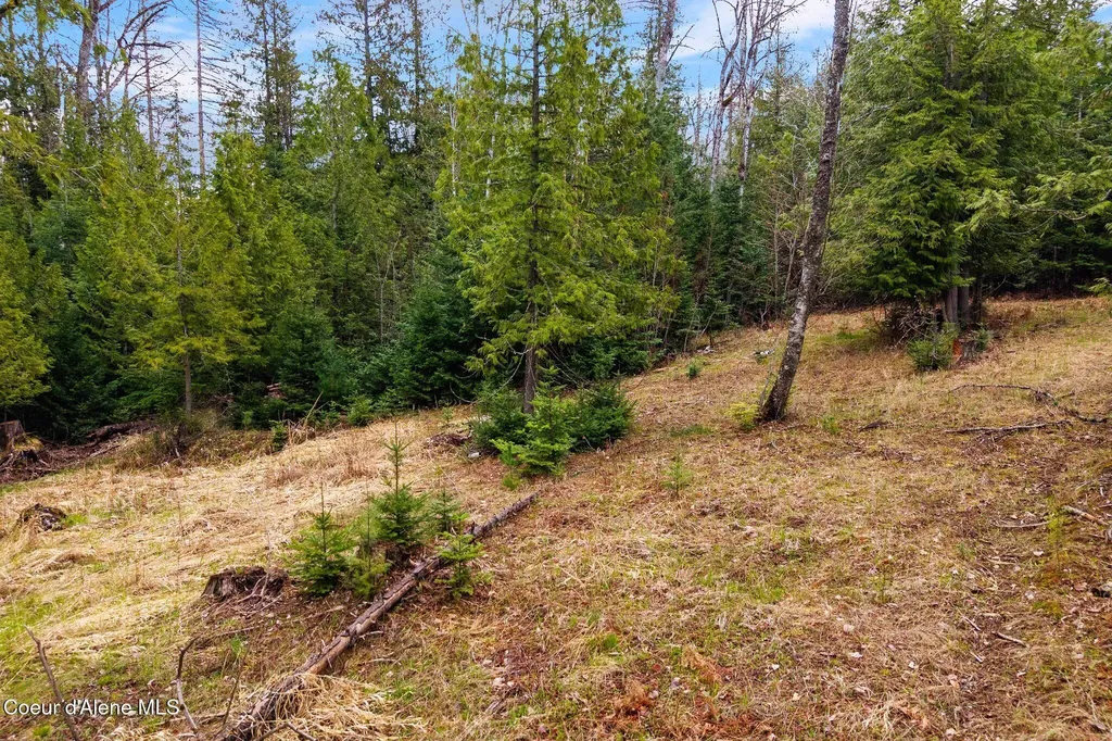Lot 2 W Pine Sandpoint ID 83864