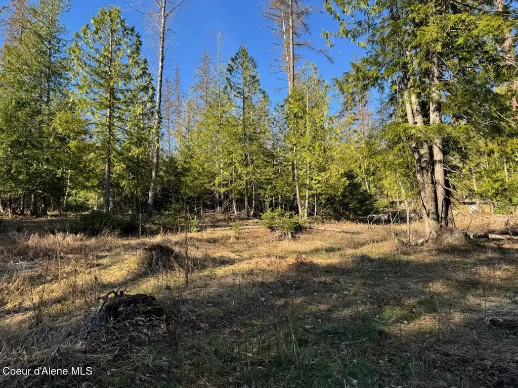Lot 2 W Pine Sandpoint ID 83864
