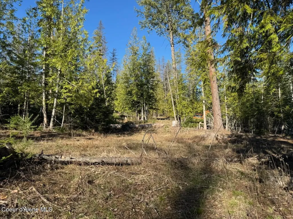 Lot 2 W Pine Sandpoint ID 83864